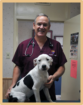 Contact | Tharp Animal Health Care Center | Chillicothe, OH